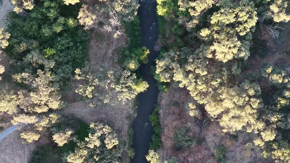 Auburn River